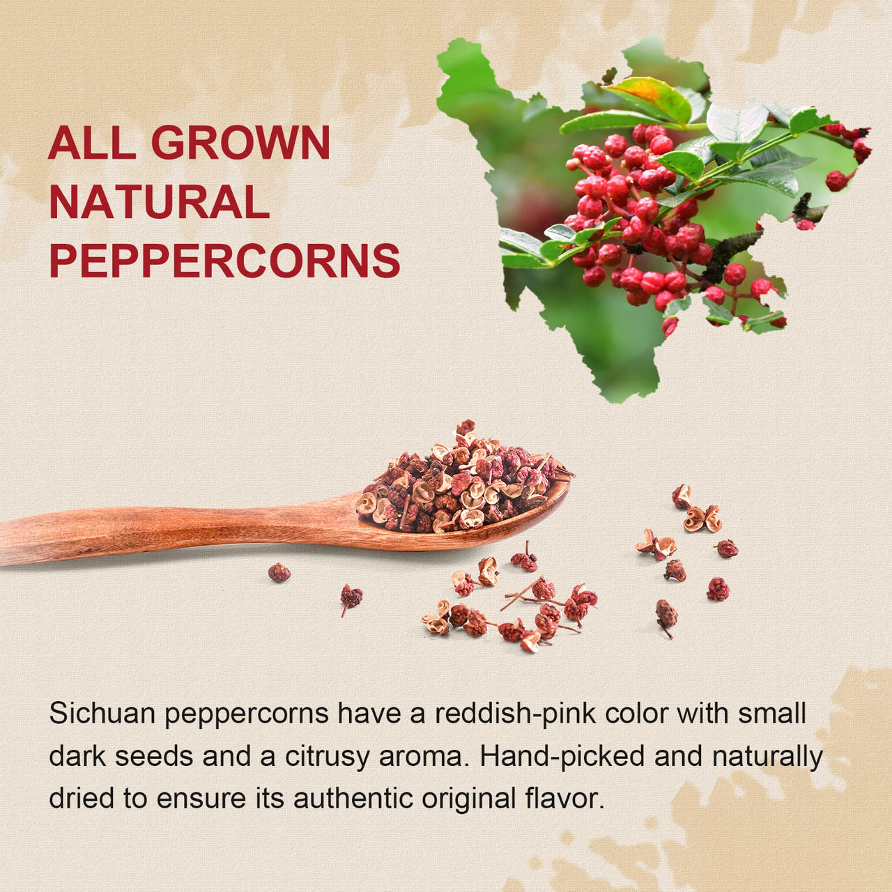 52USA Szechuan Peppercorns(8OZ), Sichuan Red Peppercorns, Tingly Numbness Whole Szechuan Peppercorns, Key Ingredients for Mapo Tofu and Scihuan Dishes