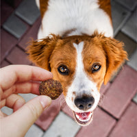 Cloud Star Wag More Bark Less Meatballs  Soft Grain Free Real Natural Chicken Dog Treats, Chicken 14 oz.