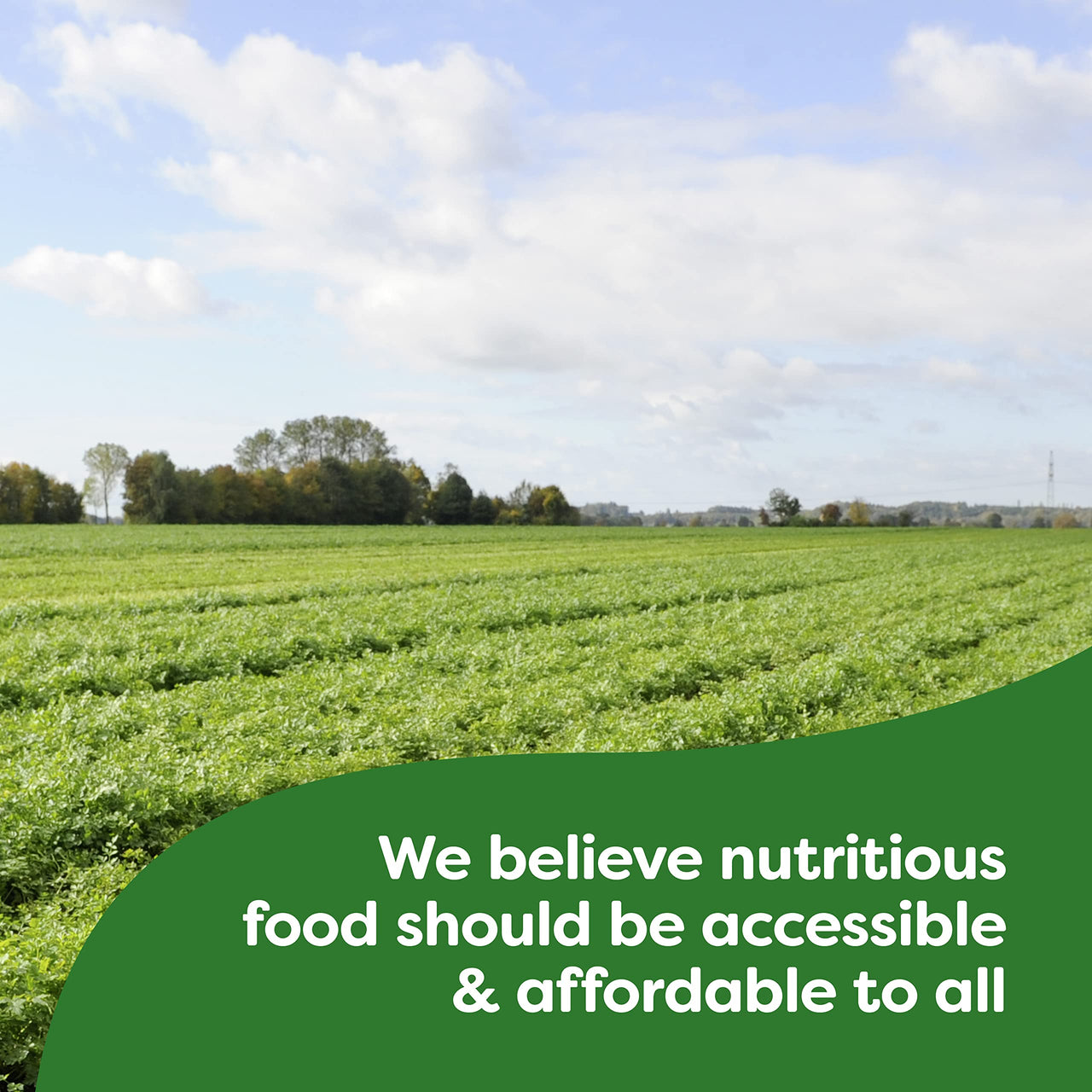 Knorr Sauce Mix Sauces For Simple Meals and Sides Hollandaise No Artificial Flavors, No Added MSG 0.9 oz, Pack of 24