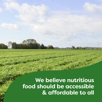 Knorr Sauce Mix Sauces For Simple Meals and Sides Hollandaise No Artificial Flavors, No Added MSG 0.9 oz, Pack of 24