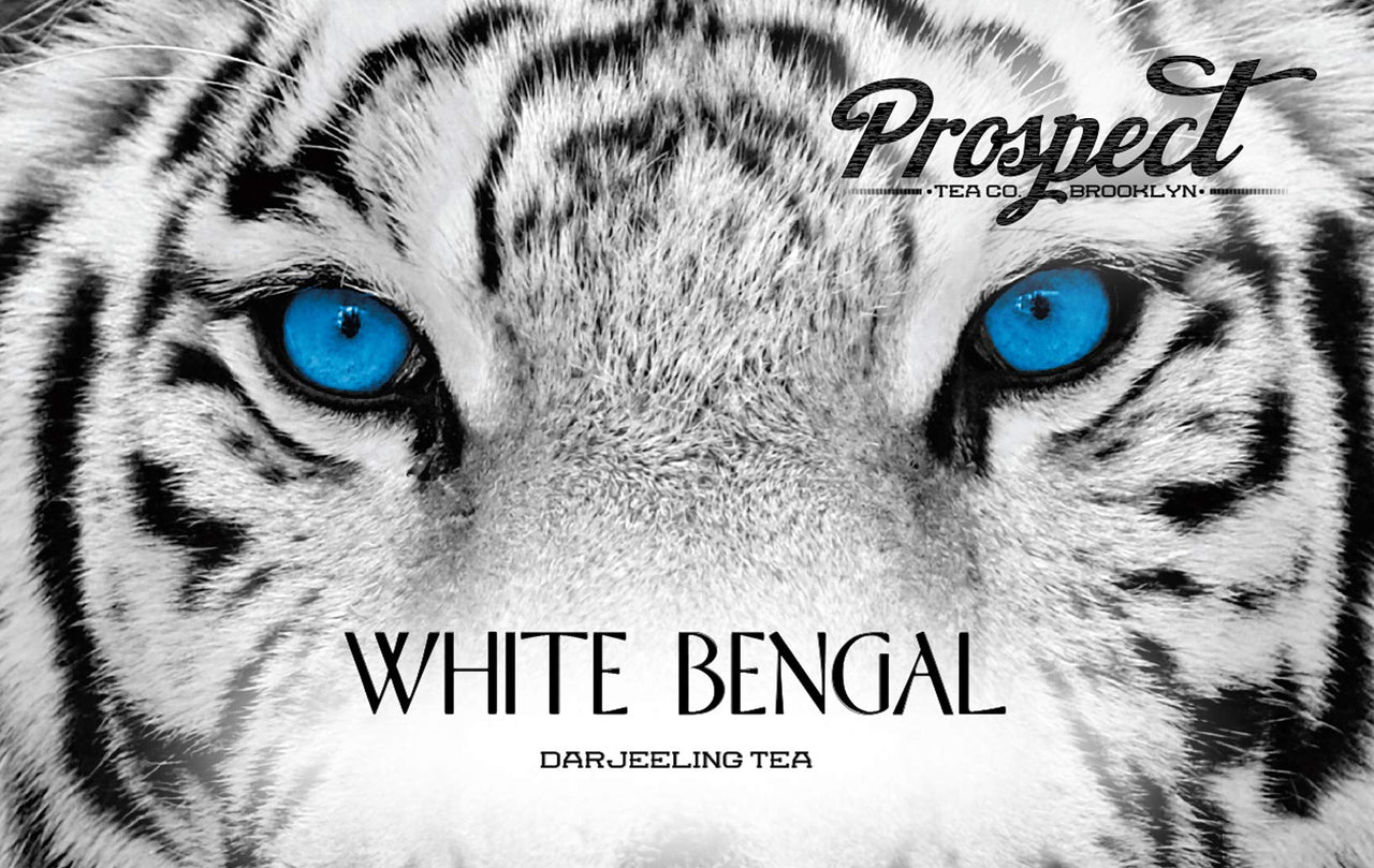 Prospect Tea White Bengal Darjeeling Tea Pods Compatible with K Cup Brewers Including 2.0, 40 Count