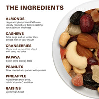 Power Up Trail Mix, Nature's  Mix Trail Mix, Non-GMO, Vegan, Gluten Free, No Artificial Ingredients, Brown, 14 Oz