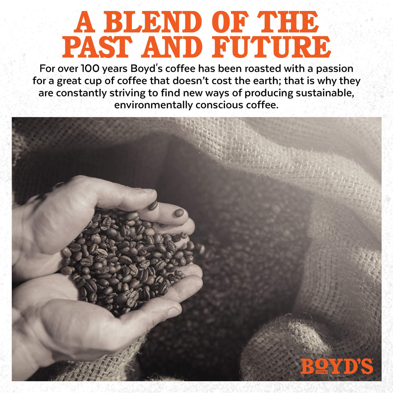 Boyd's  Coffee Red Wagon Single Serve, 12 Count