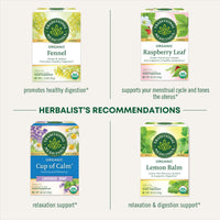 Traditional Medicinals Organic Mother's  Milk Women's  Tea 32ct(pack of 1)