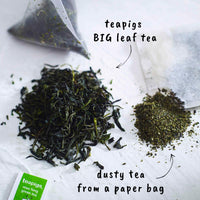 Teapigs Mao Feng Green Tea Bags Made With Whole Leaves (1 Pack of 50 Teabags)