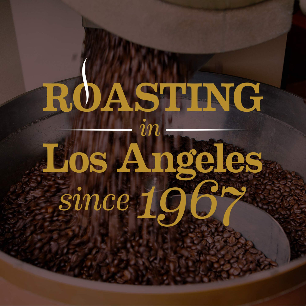 Gavia French Roast 10oz Ground Can