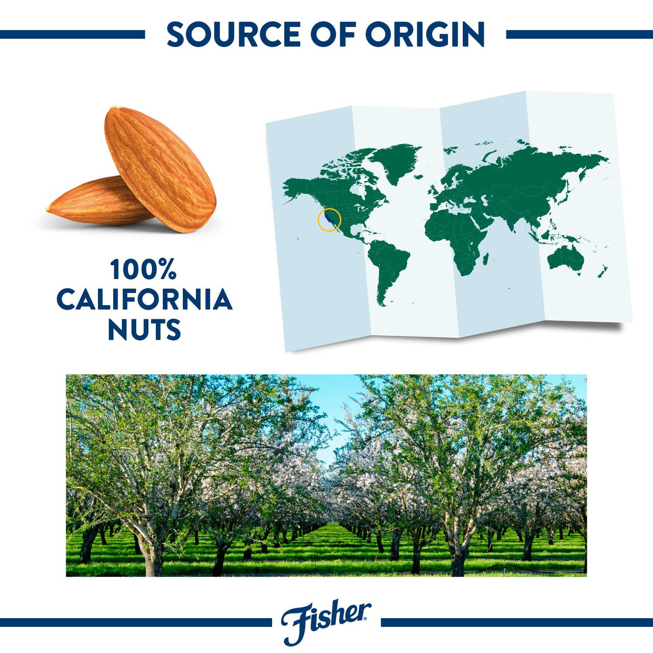 Fisher Whole Almonds, 6 Ounces, Unsalted, Low Carb Snack, No Preservatives, Naturally Gluten Free, Non-GMO, Keto, Paleo, Vegan Friendly