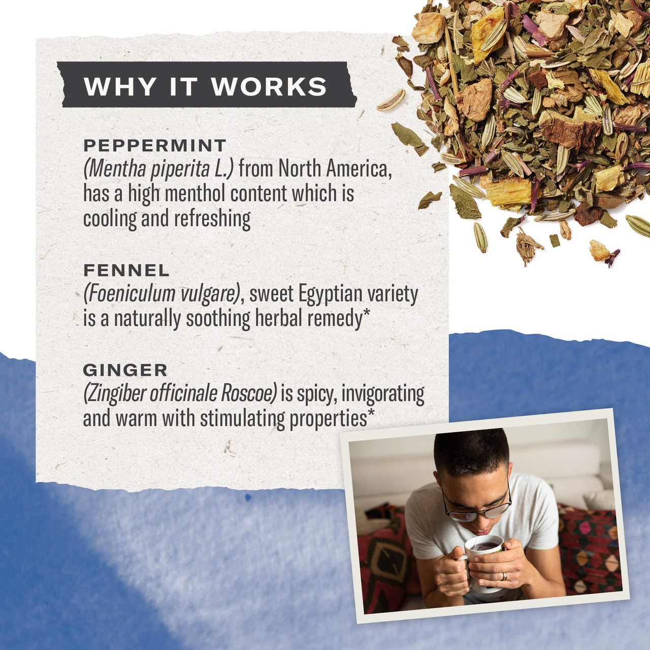 Numi Organic Tea Immunity Variety Pack, Elderberry and Echinacea Tea, 16 Count (Pack of 3)