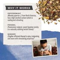 Numi Organic Tea Immunity Variety Pack, Elderberry and Echinacea Tea, 16 Count (Pack of 3)