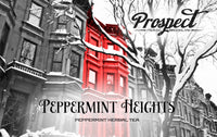Prospect Tea Peppermint Heights Herbal Tea Pods Compatible with K Cup Brewers Including 2.0, 40 Count