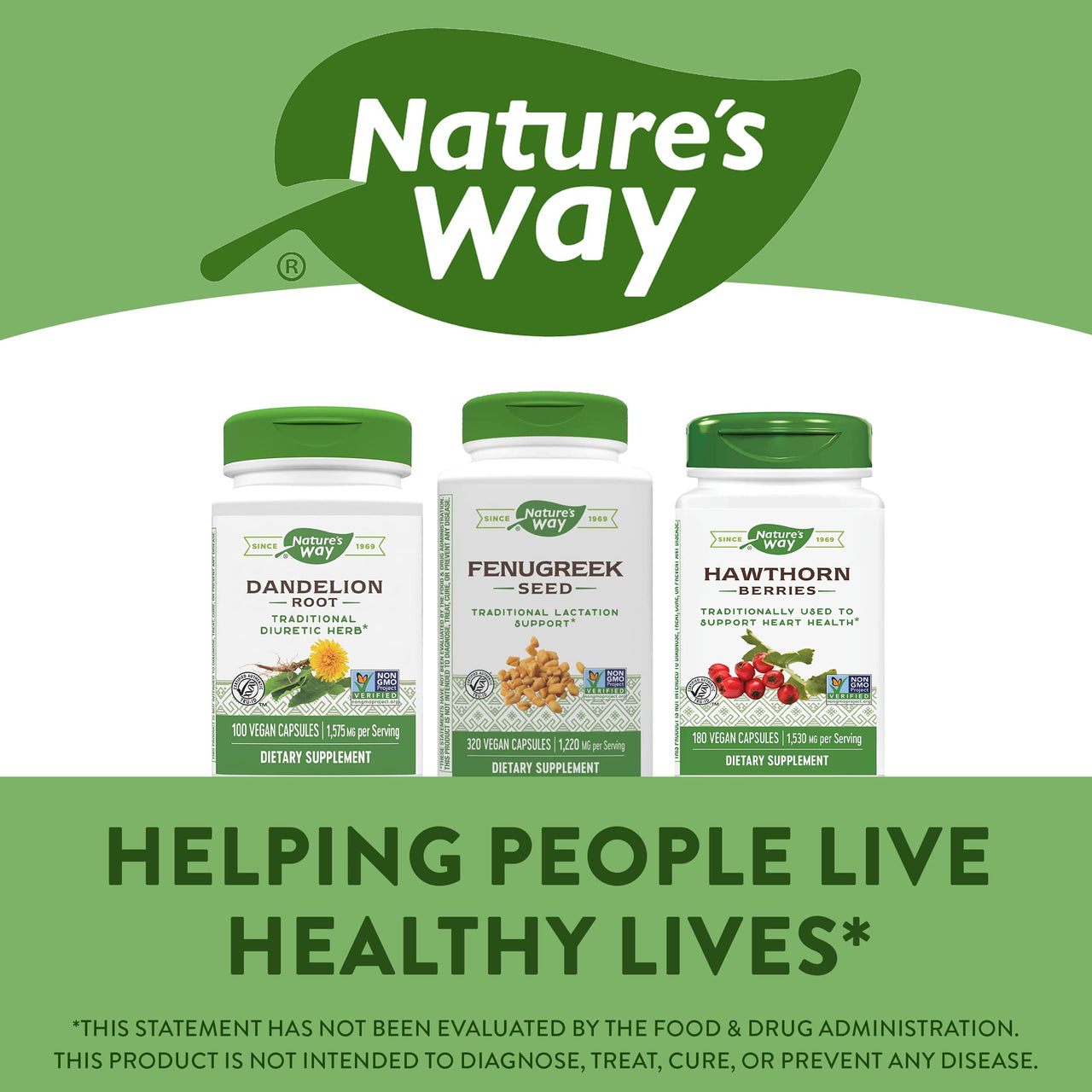 Nature's  Way Fenugreek Seed, Promotes Healthy Lactation*, Non-GMO Project Verified, Vegan, 320 Capsules