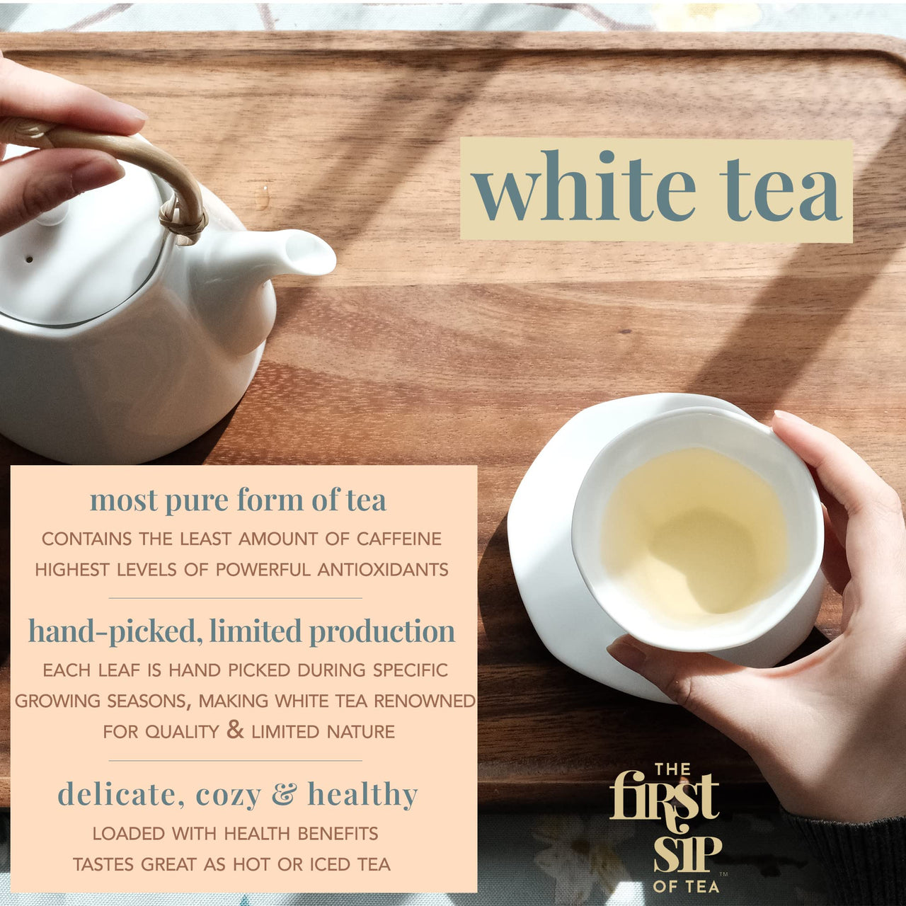 Ambrosia White Tea, Pyramid Sachet Tea Bags, Pai Mu Tan Fruity, Low-Caffeine, Antioxidant-Rich - 16 Cups | The Spice Hut, First Sip Of Tea