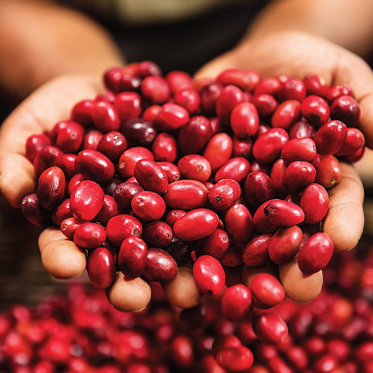 Green Mountain Coffee Roasters Nantucket Blend, Ground Coffee, Medium Roast, Bagged 12 oz