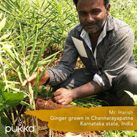 Pukka Organic Tea Bags, Digestion Organic Tea Bundle Herbal Tea with Three Mint, Three Ginger & Detox, 20 Count (Pack of 3)