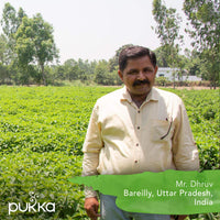 Pukka Organic Tea Bags, Three Mint Herbal Tea, Perfect for Cooling Refresh, 20 Count (Pack of 6) 120 Tea Bags