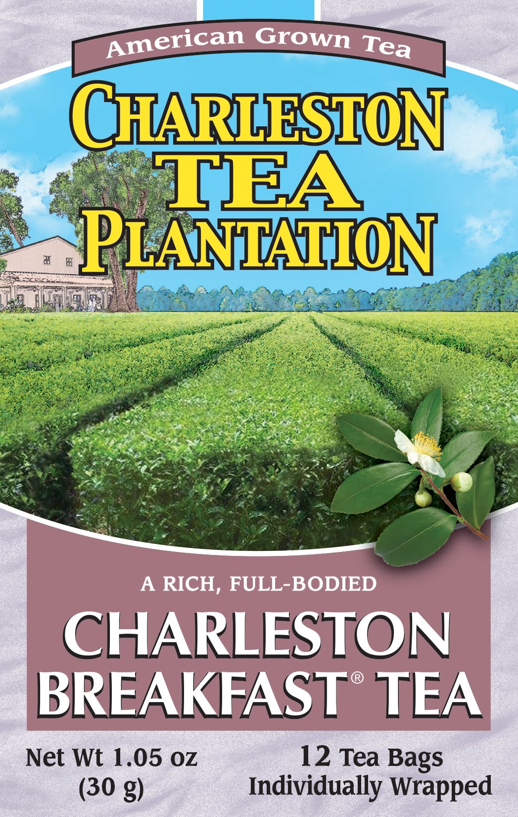 Charleston Breakfast Pyramid Teabags, 12 Count