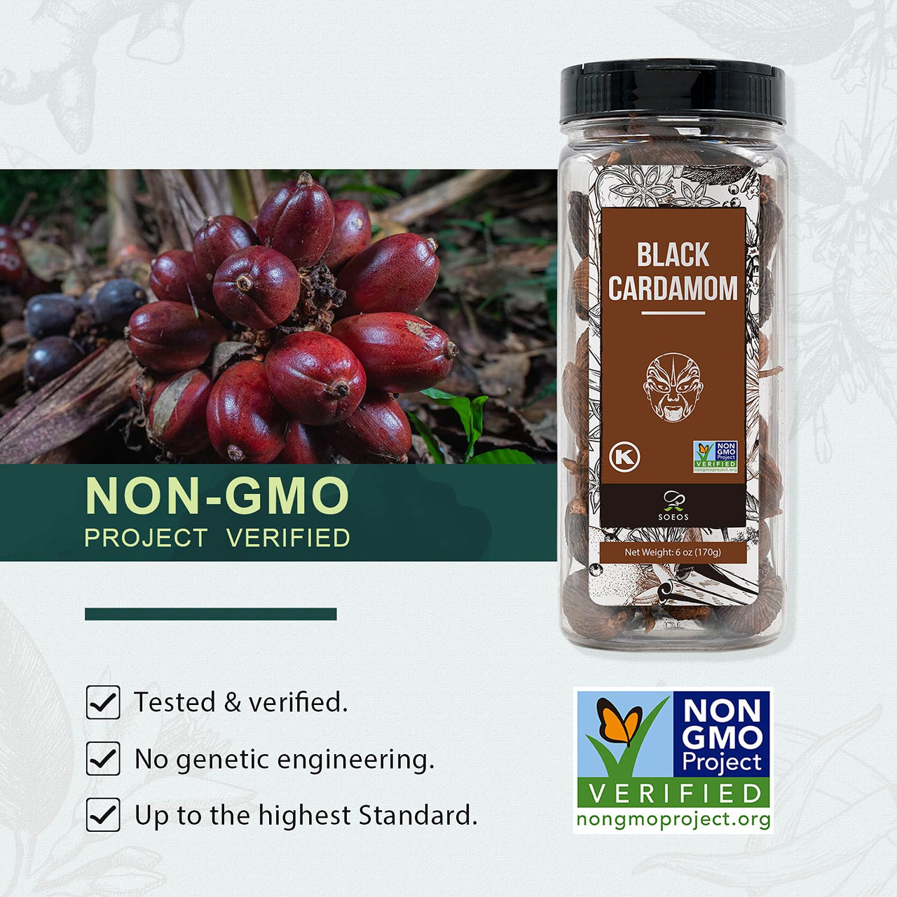 Soeos Black Cardamom 6 Ounces, NON GMO Verified, Kosher, Asian and India Cooking Spice, Smoky Flavor, Freshly Dried Cardamom, Cardamom Seeds, Cardamom Pods for Cooking, Whole Kali Elaichi, 6oz.