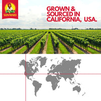 Sun-Maid | Yogurt Covered Raisin Snacks | Chocolate | 1 Ounce Snack-Size For Kids (6 Total)