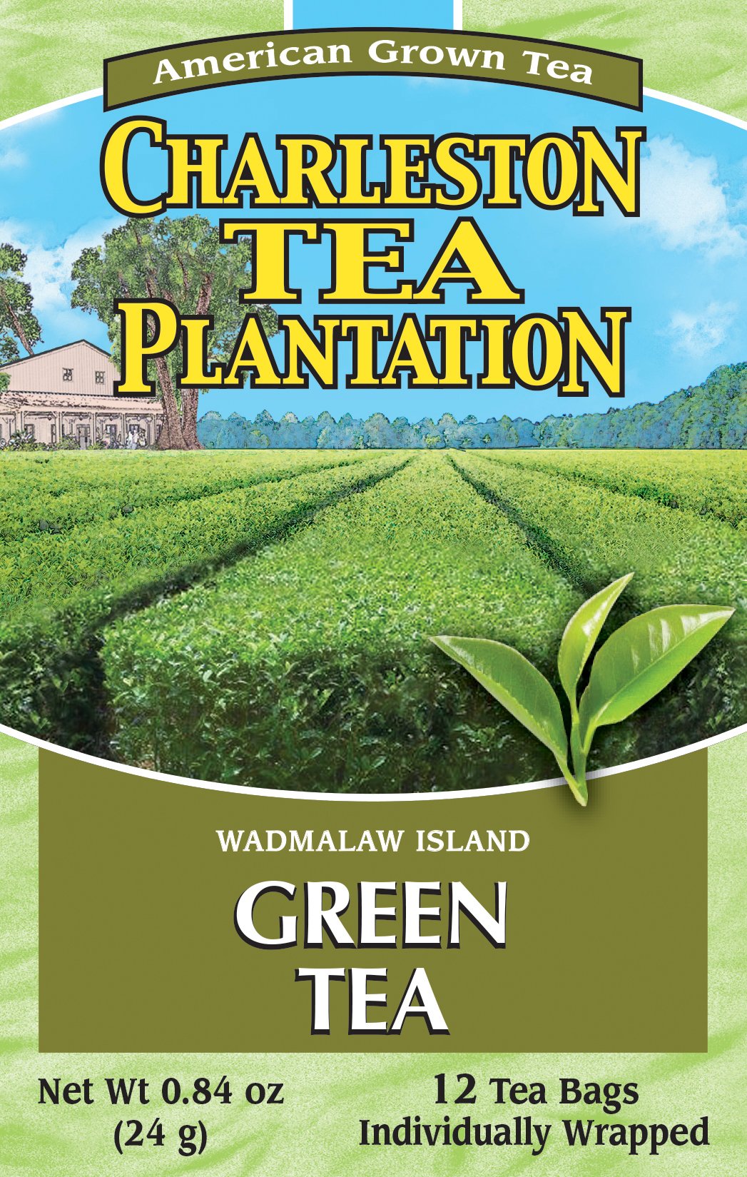 Island Green Pyramid Teabags, 12 Count