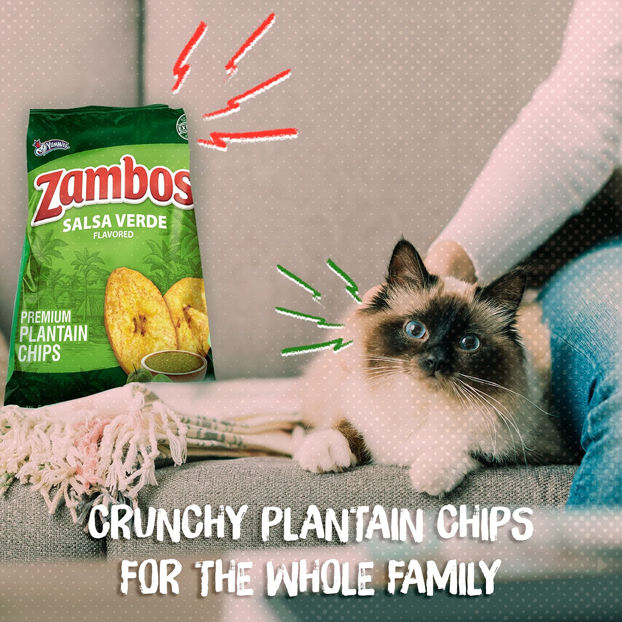 Zambos Plantain Chips Salsa Verde, Crunchy Premium Plantain Chips 5.30 oz (Pack of 1)