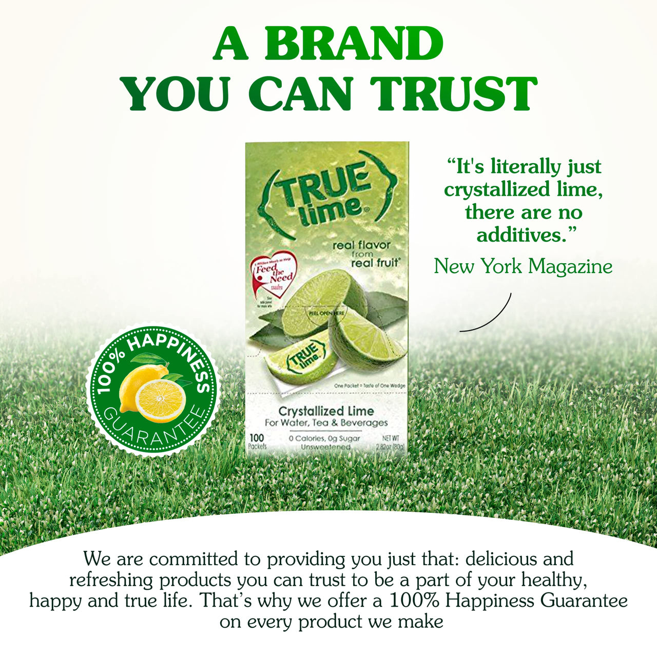 TRUE LIME Water Enhancer, Bulk Dispenser Pack (100 Packets), 0 Calorie Drink Mix Packets For Water, Sugar Free Lime Flavoring Powder Packets, Water Flavor Packets Made with Real Limes(Pack of 1)