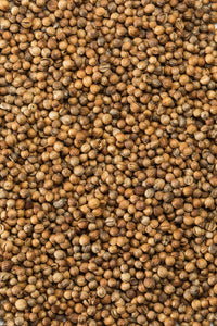 McCormick Gourmet Organic Coriander Seed, 0.87 oz