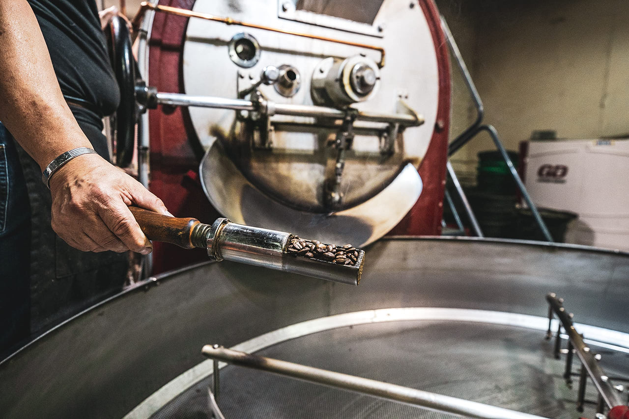 Dazbog Coffee | Mocha Java Blend | Whole Bean Coffee | 11 oz. | Chocolate Overtones | Smooth & Rich in Flavor | Full Bodied Blend | Vacuum Sealed Freshness