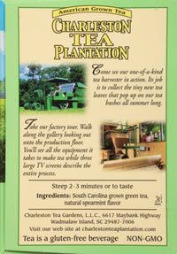 American Classic Pyramid Teabags, Island Green Mint, 12 Count, 0.84 Oz