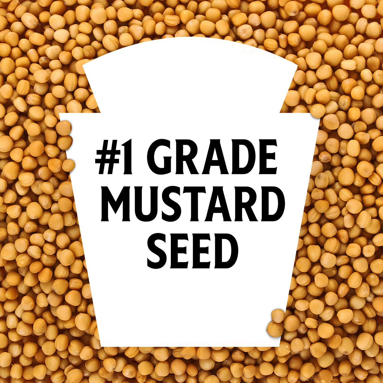 Heinz Yellow Mustard (8 oz Bottle)