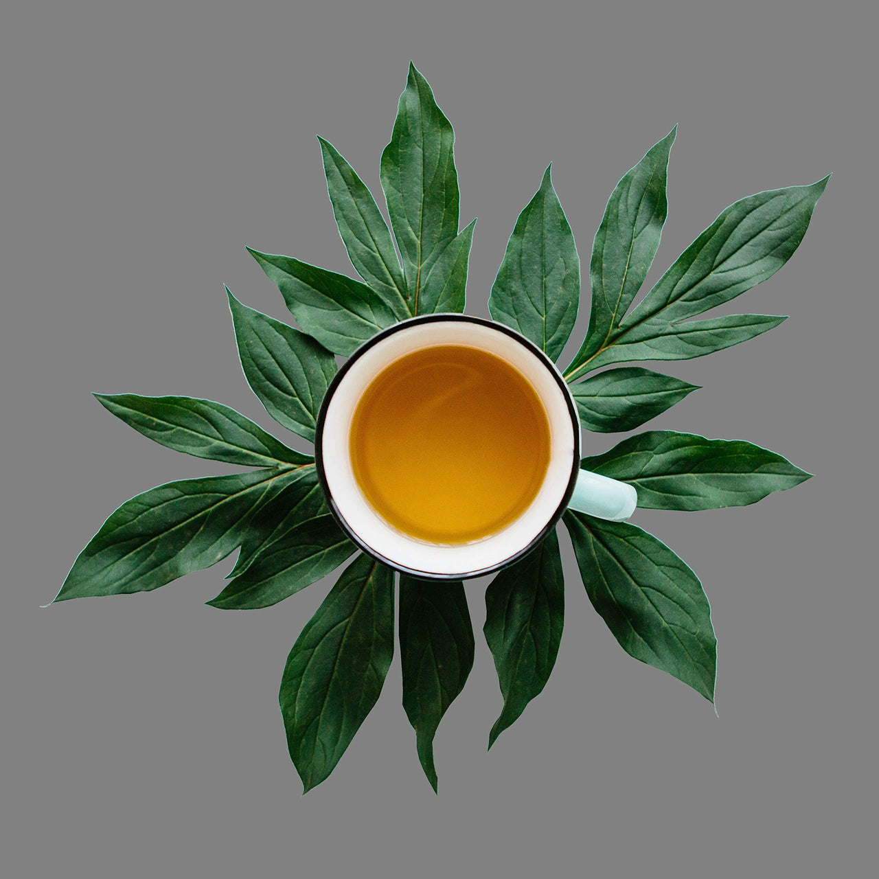 Premium Ceylon Black Tea, Loose Leaf Black Tea, Caffeine, Hot & Iced Tea | 8oz Bulk Tea 80-100 Cups - Black Loose Leaves Tea from Sri Lanka, 100% Pure Unflavored | The Spice Hut, First Sip of Tea