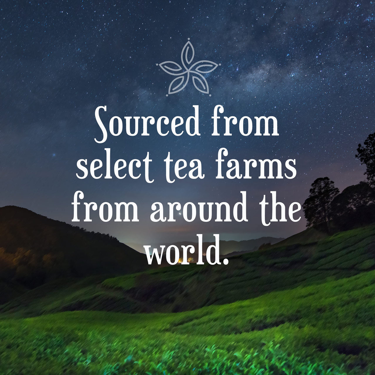 Constellation Tea Assorted Variety Pack Sampler Tea Pods Compatible with K Cup Brewers Including 2.0, 40 Count