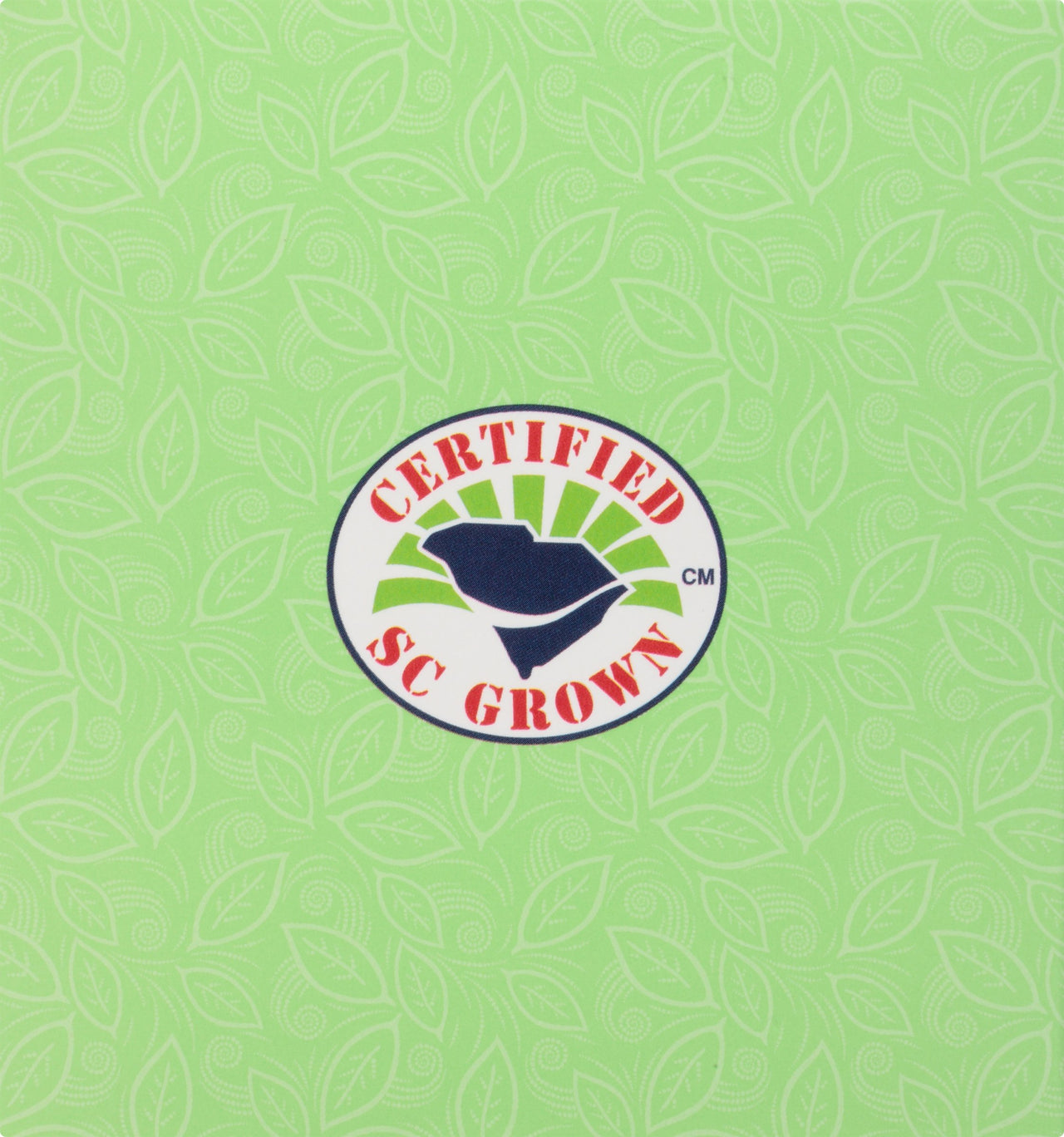 American Classic Pyramid Teabags, Island Green Mint, 12 Count, 0.84 Oz