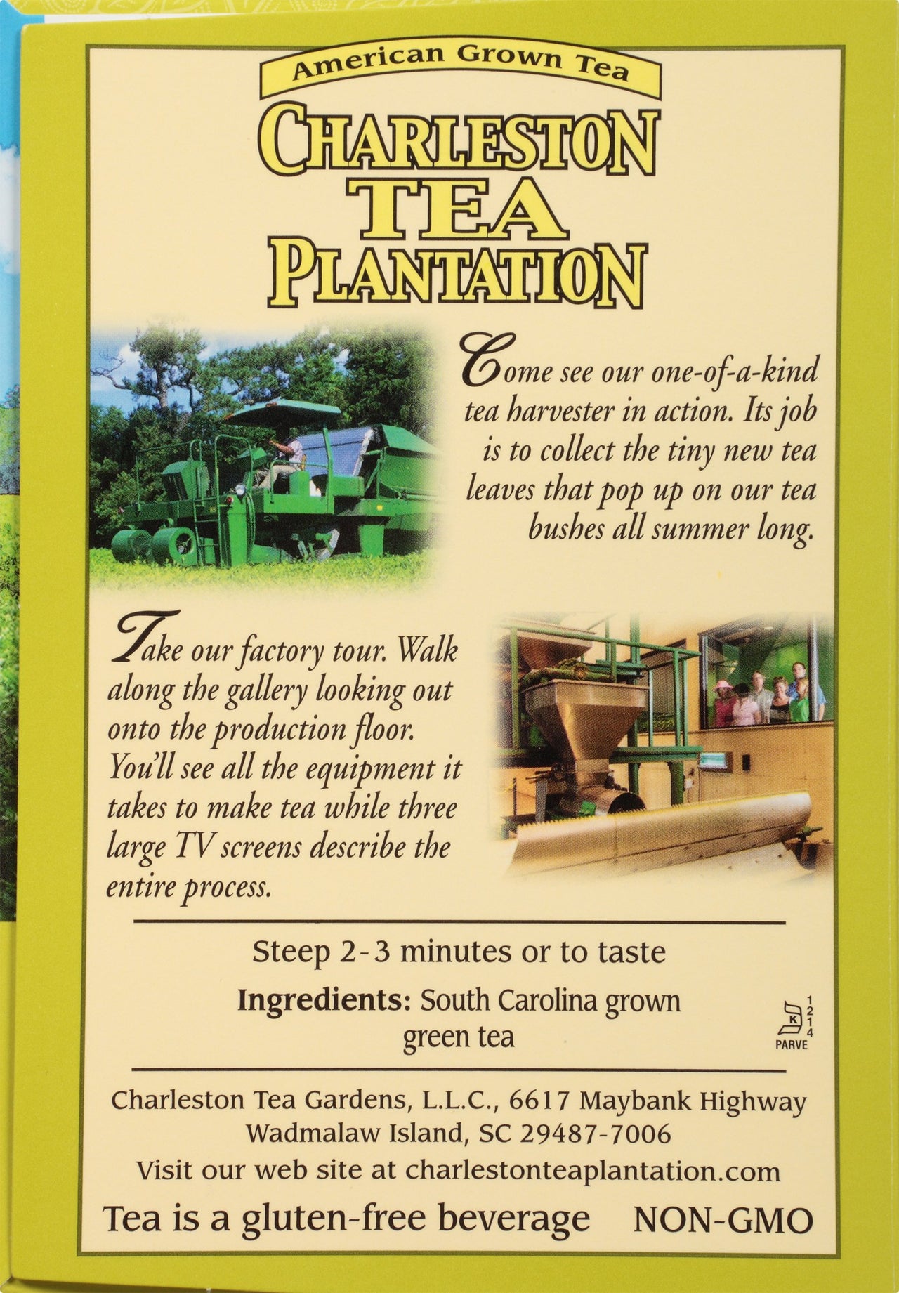 Island Green Pyramid Teabags, 12 Count