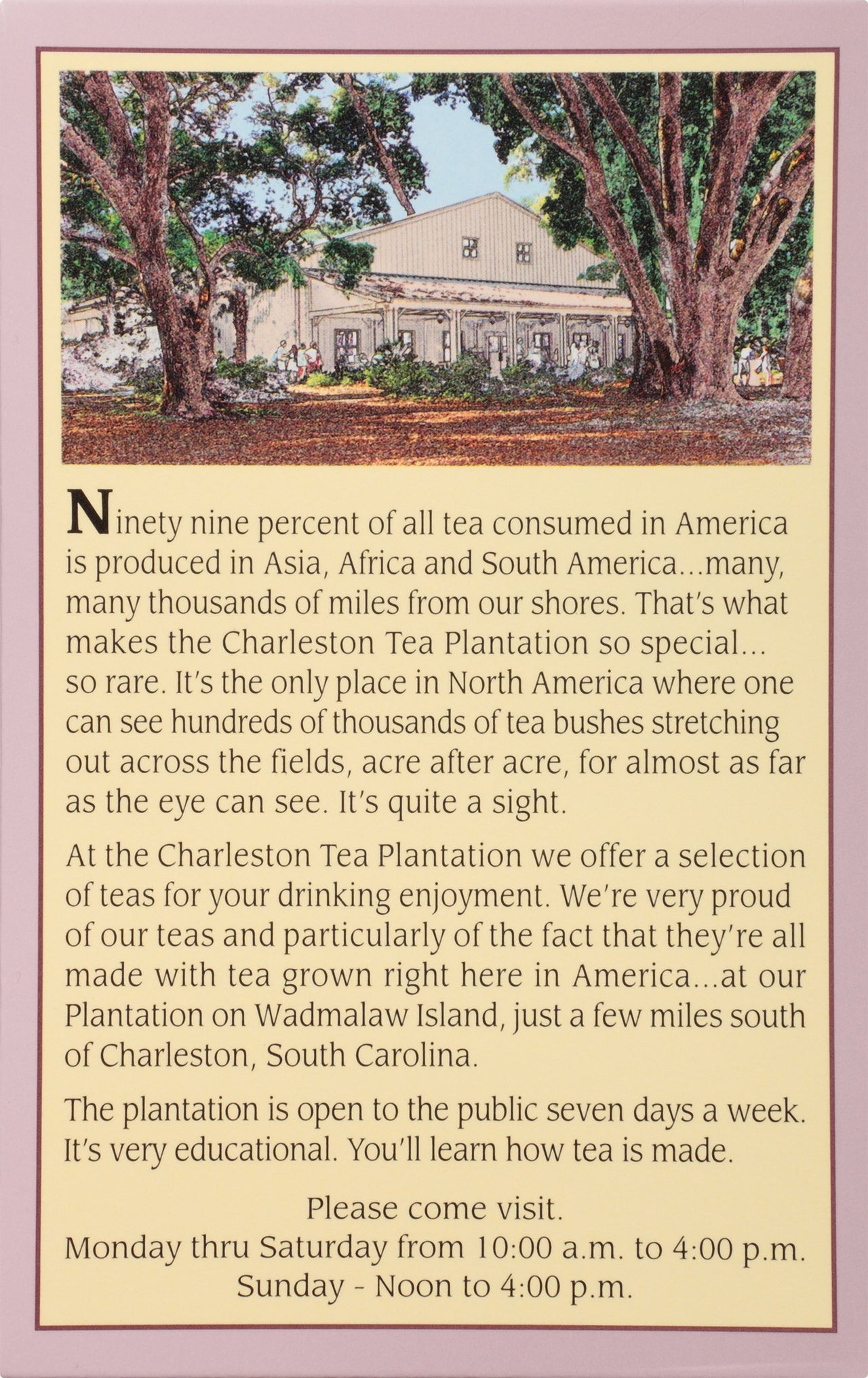 Charleston Breakfast Pyramid Teabags, 12 Count