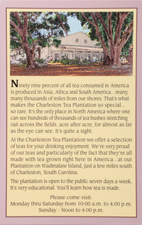 Charleston Breakfast Pyramid Teabags, 12 Count