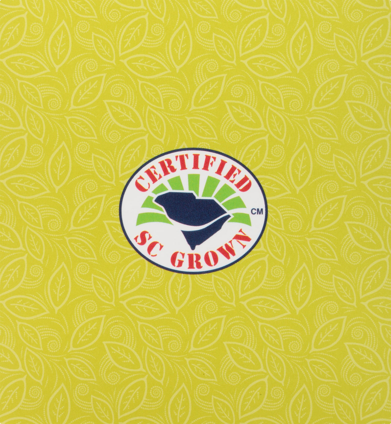 Island Green Pyramid Teabags, 12 Count