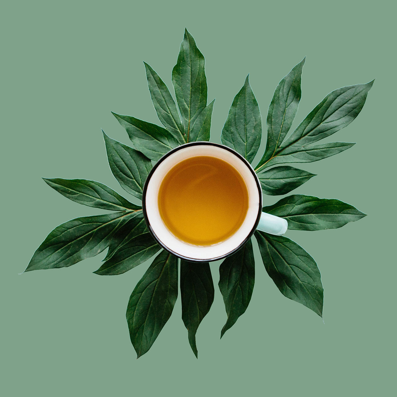 Sweet Pineapple, Loose Leaf Green Tea - Caffeinated, Antioxidants, Hot & Iced | bulk 8oz, 80-100 cups | The Spice Hut, First Sip of Tea