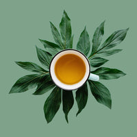 Okinawa Lemon Loose Leaf Green Tea, Japanese Sencha with Real Lemon & Antioxidants - Caffeinated | bulk 8oz, 80-100 cups | The Spice Hut, First Sip of Tea