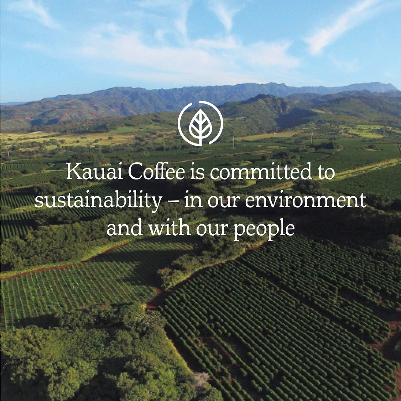 Kauai Coffee Single-Serve Pods, Na Pali Coast Dark Roast- Arabica Coffee, Grown, Harvested and Roasted in Hawaii, Keurig-Compatible Cups - 24 Count