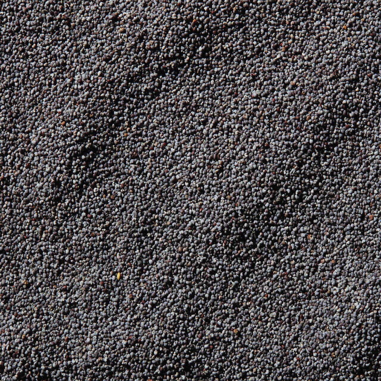 McCormick Poppy Seed, 2.37 oz