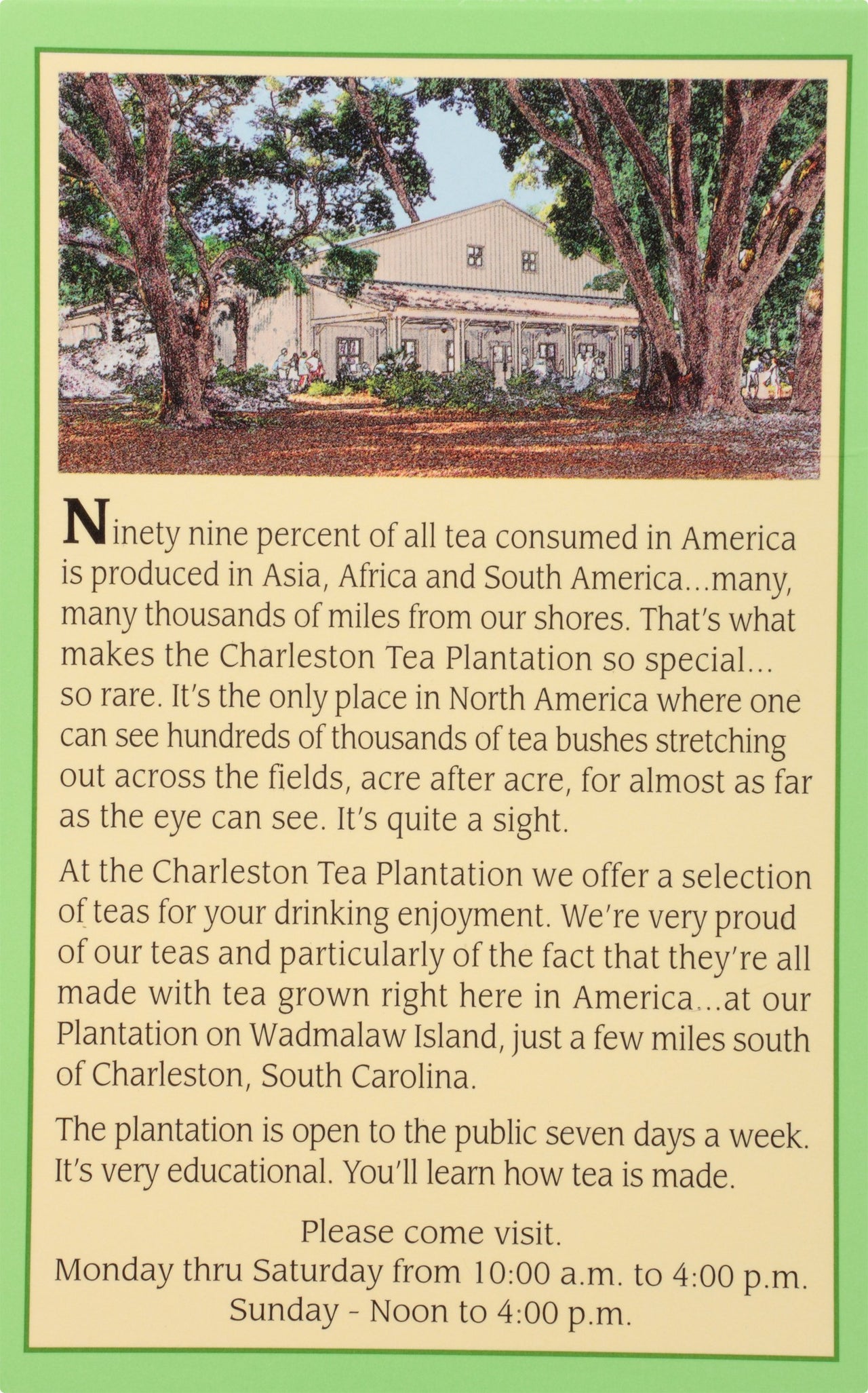 American Classic Pyramid Teabags, Island Green Mint, 12 Count, 0.84 Oz