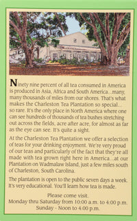 American Classic Pyramid Teabags, Island Green Mint, 12 Count, 0.84 Oz