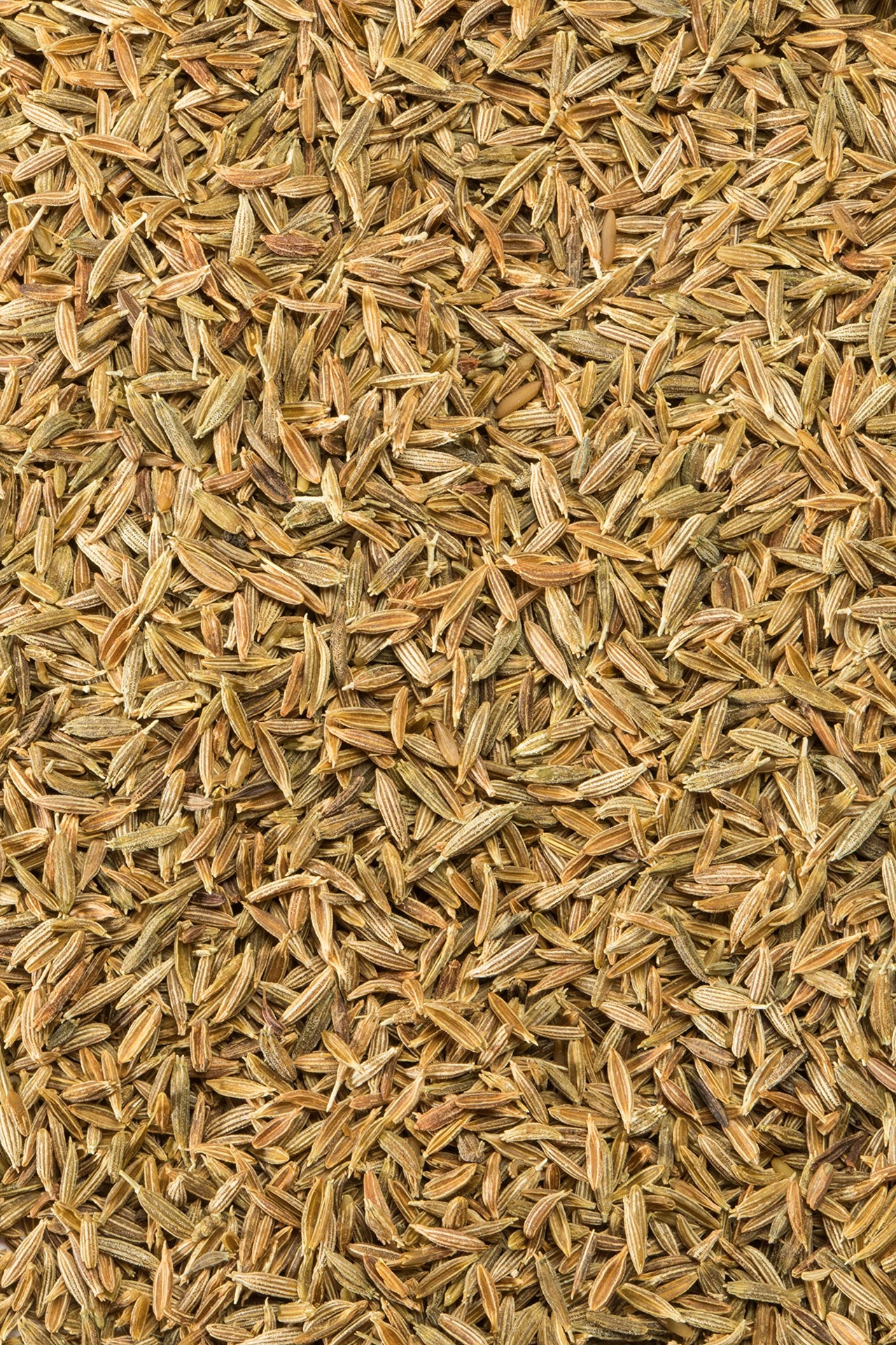 McCormick Gourmet Organic Cumin Seed, 1.37 oz