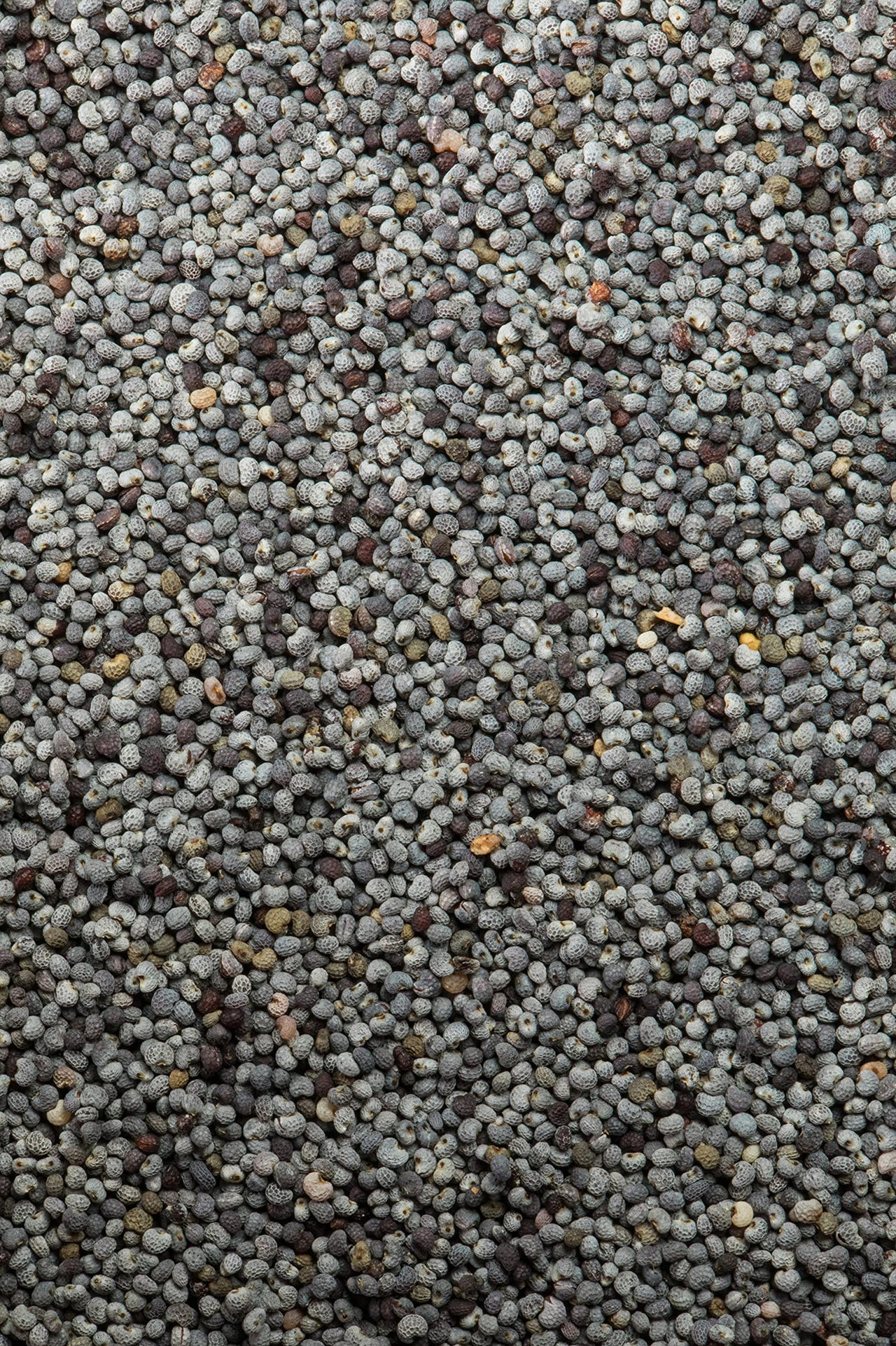 McCormick Gourmet Organic Poppy Seed, 2.12 oz